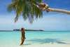 Vilu Reef Beach & SPA Resort 